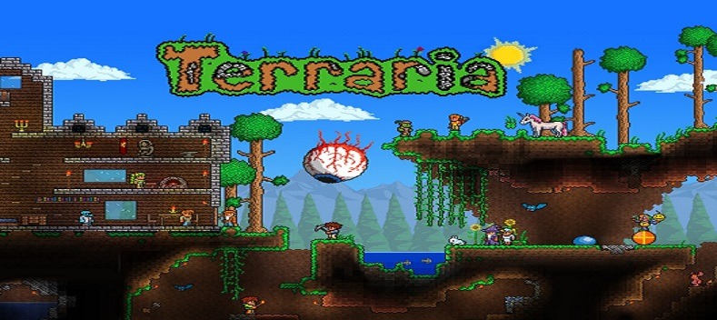 What is Terraria ?