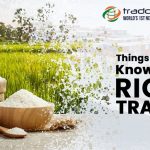 Basmati rice Trade