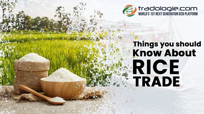 Basmati rice Trade