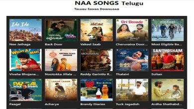 Naa Songs Telugu Post