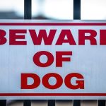 What Are the Legal Consequences of a Dog Attack on Your Atlanta