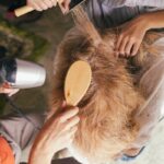 Grooming Your Dog at Home