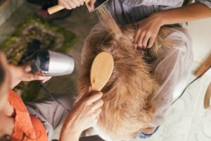 Grooming Your Dog at Home