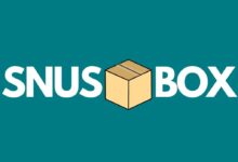 snusbox